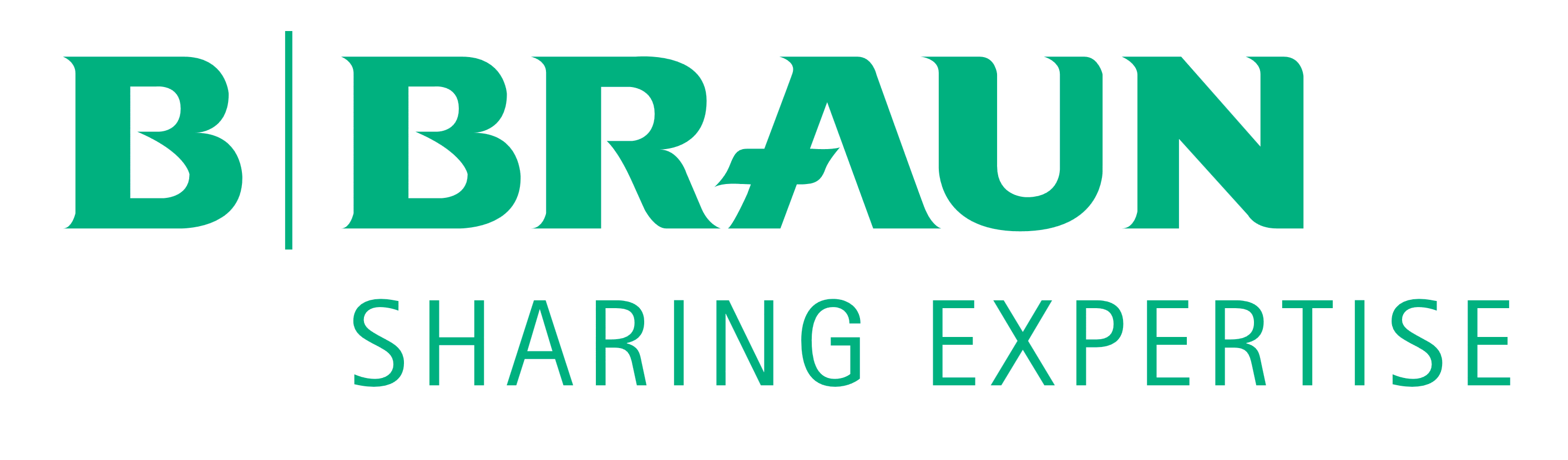 B. Braun México